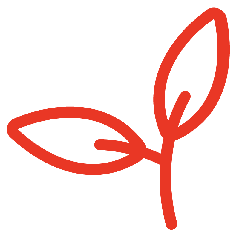 Kräutertherapie_Zeichenfläche 1